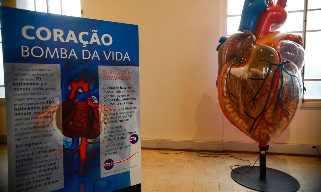 1023611-capa_03062016-_dsc5706_1