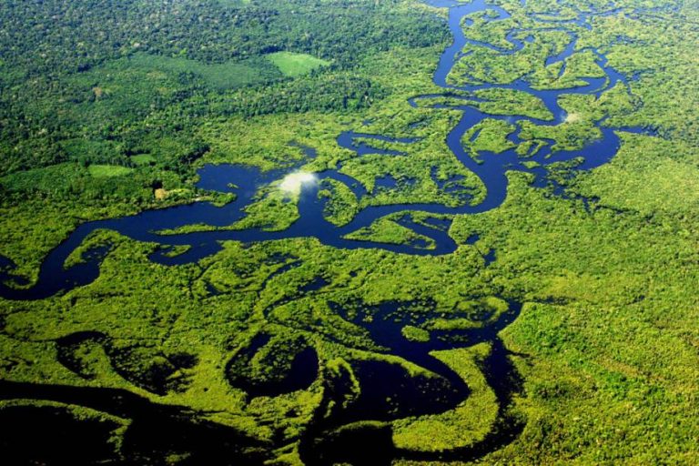 estado-do-amazonas-curiosidades-sobre-o-maior-estado-brasileiro
