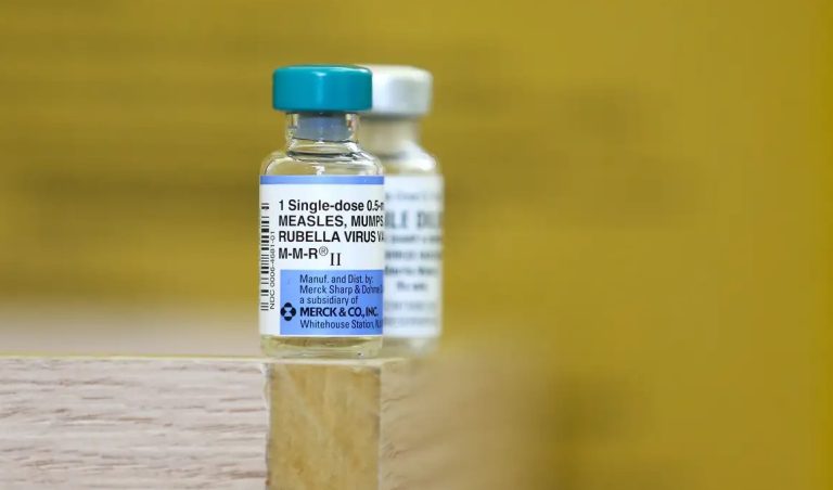 Imagem do WhatsApp de 2025-08-01 à(s) 08.04.06_363f5054