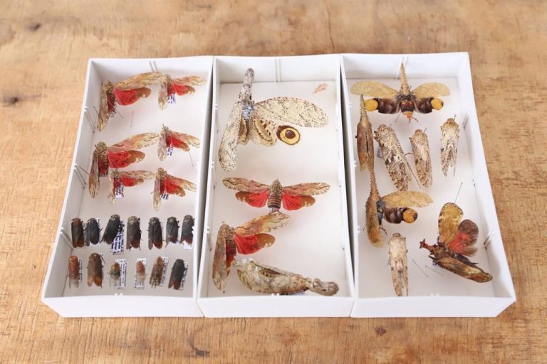 WhatsApp-Image-2023-03-23-at-09.50.18