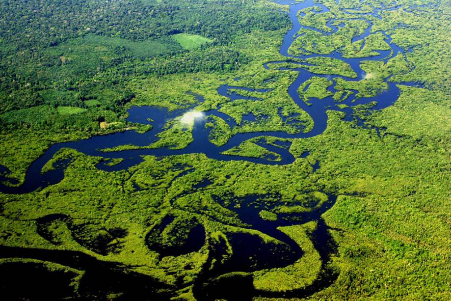 estado-do-amazonas-curiosidades-sobre-o-maior-estado-brasileiro